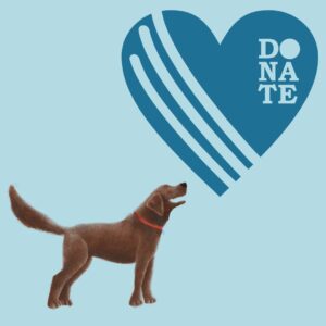 Donation to 'When We Are Brave'